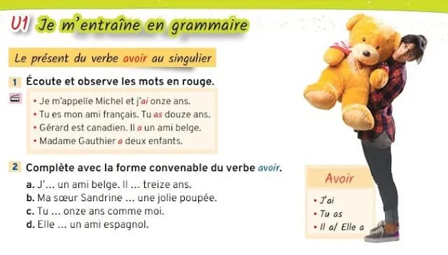 Odmiana czasownika avoir: klucz do płynnej komunikacji po francusku